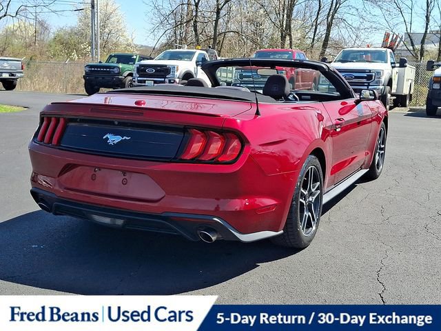 Certified 2019 Ford Mustang Convertible w/ Equipment Group 101A image 7