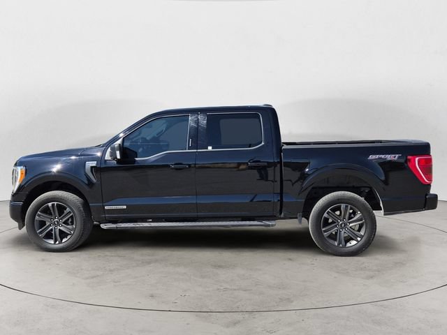 Certified 2023 Ford F150 XLT w/ Equipment Group 302A High AWD/4WD image 8