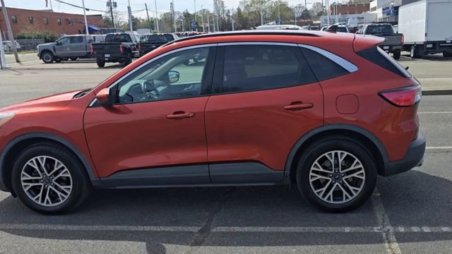 Certified 2020 Ford Escape SEL image 3