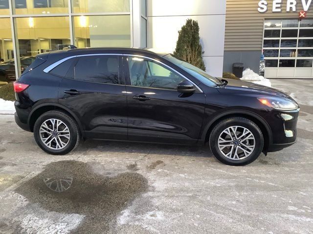 Certified 2020 Ford Escape SEL image 5