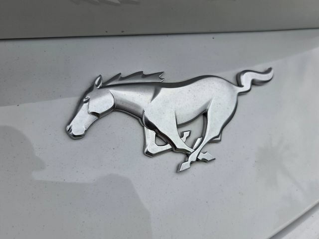 Certified 2024 Ford Mustang Premium RWD image 13