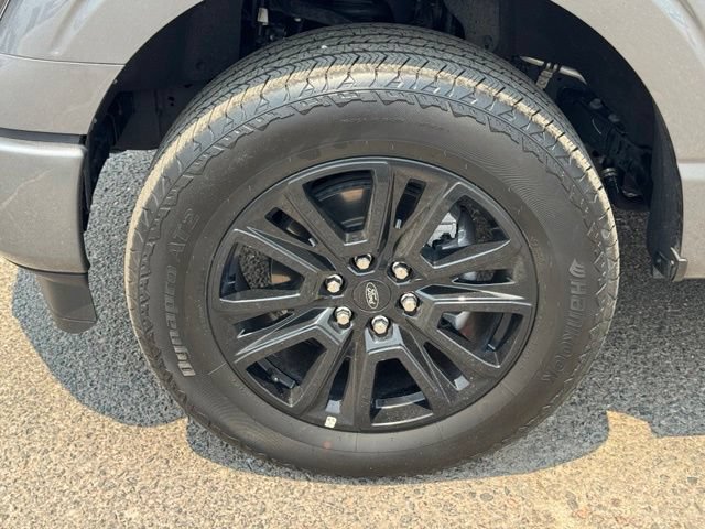 Certified 2025 Ford F150 Platinum w/ Equipment Group 702A High AWD/4WD image 21