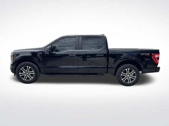 Certified 2023 Ford F150 XL w/ STX Appearance Package RWD image 8