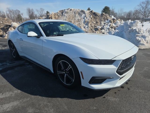 Certified 2025 Ford Mustang Premium