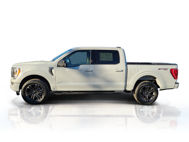 Certified 2023 Ford F150 XLT w/ Equipment Group 302A High AWD/4WD image 4