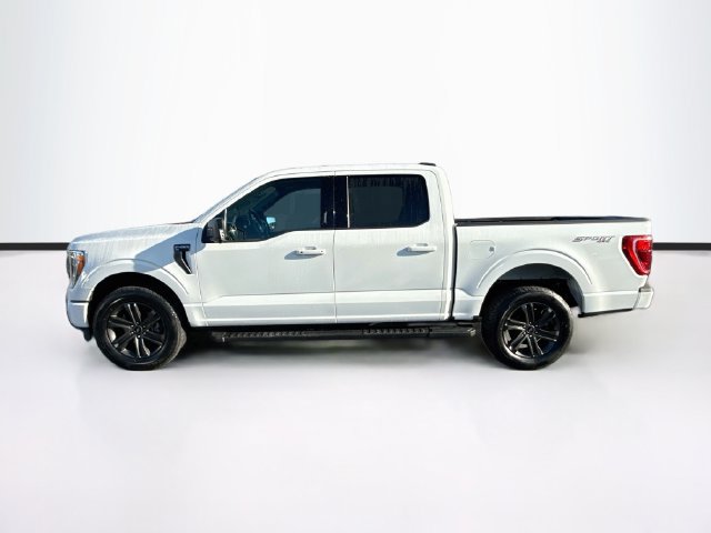 Certified 2023 Ford F150 XLT w/ Equipment Group 302A High AWD/4WD image 6