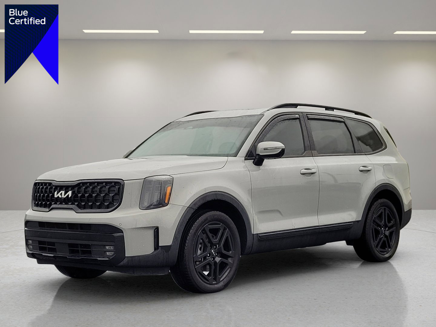 Used 2024 Kia Telluride SX Prestige X-Line