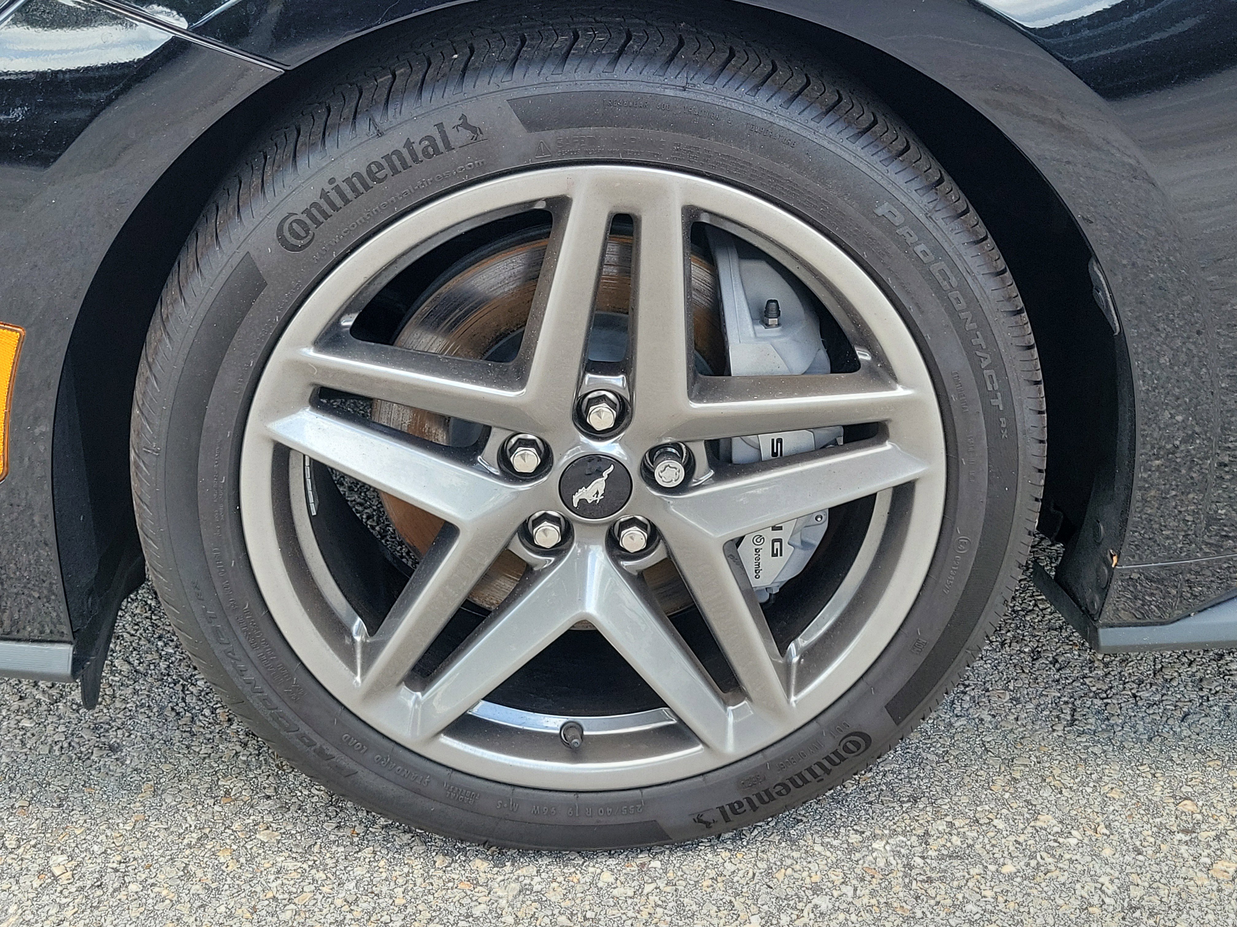 Certified 2025 Ford Mustang GT Premium RWD image 5