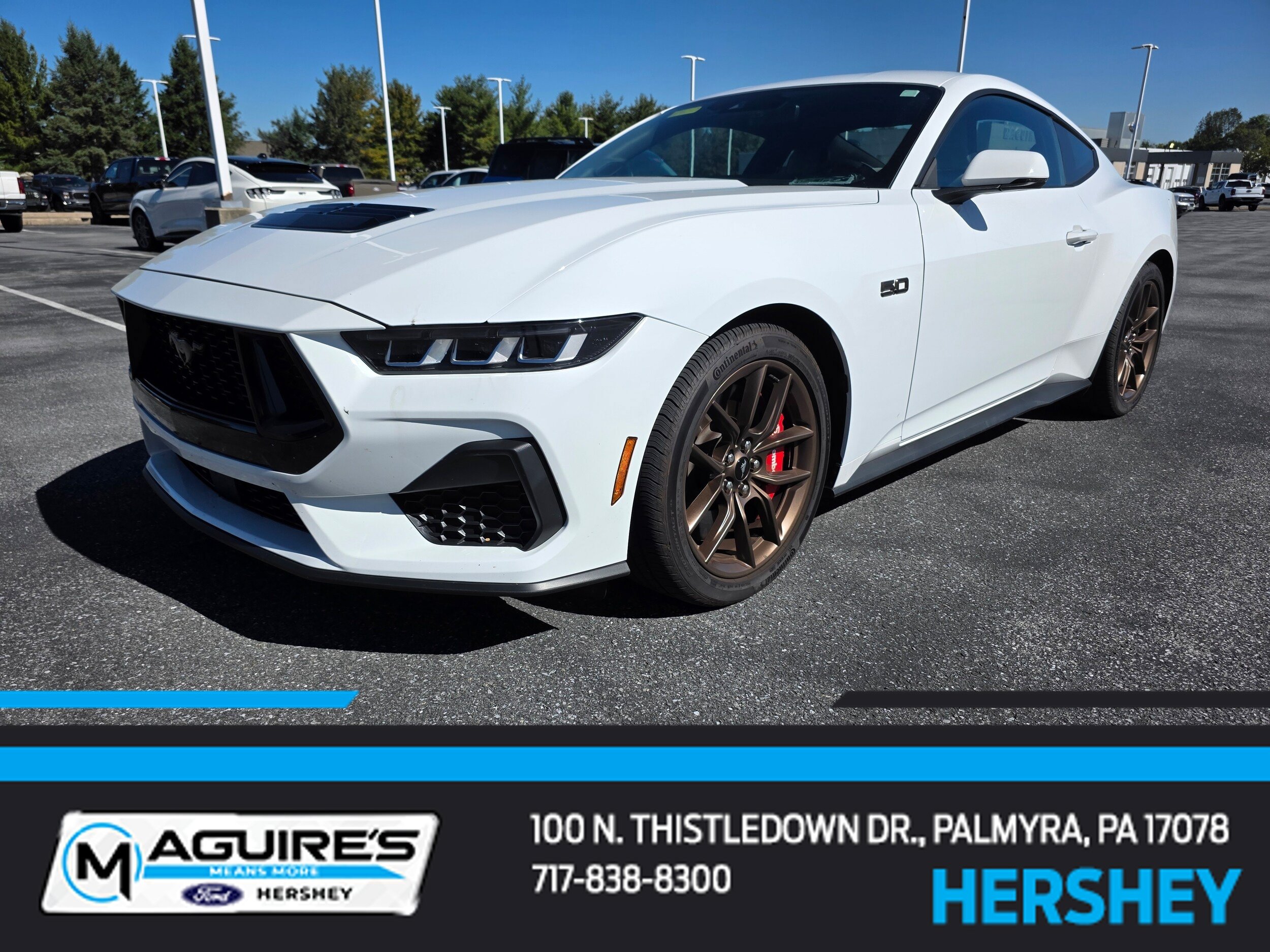Certified 2024 Ford Mustang GT Premium RWD image 1