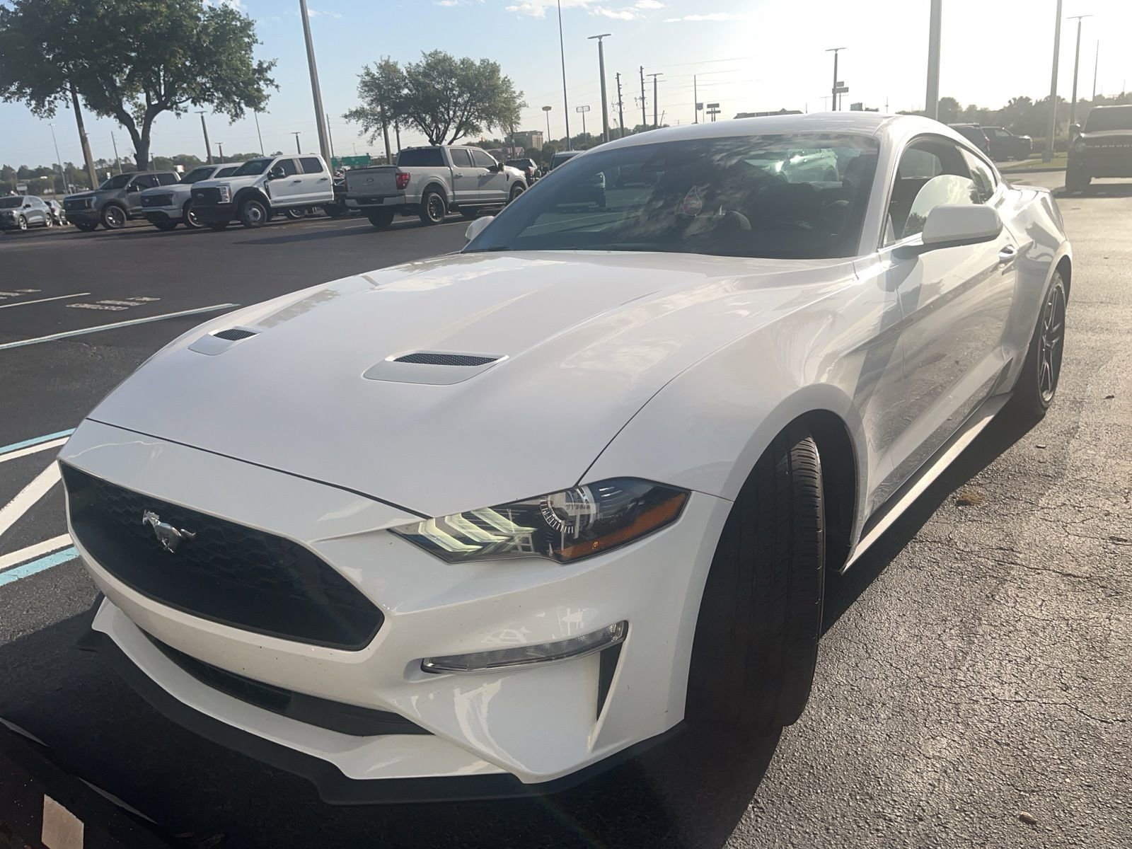 Certified 2021 Ford Mustang Coupe w/ Equipment Group 101A image 6