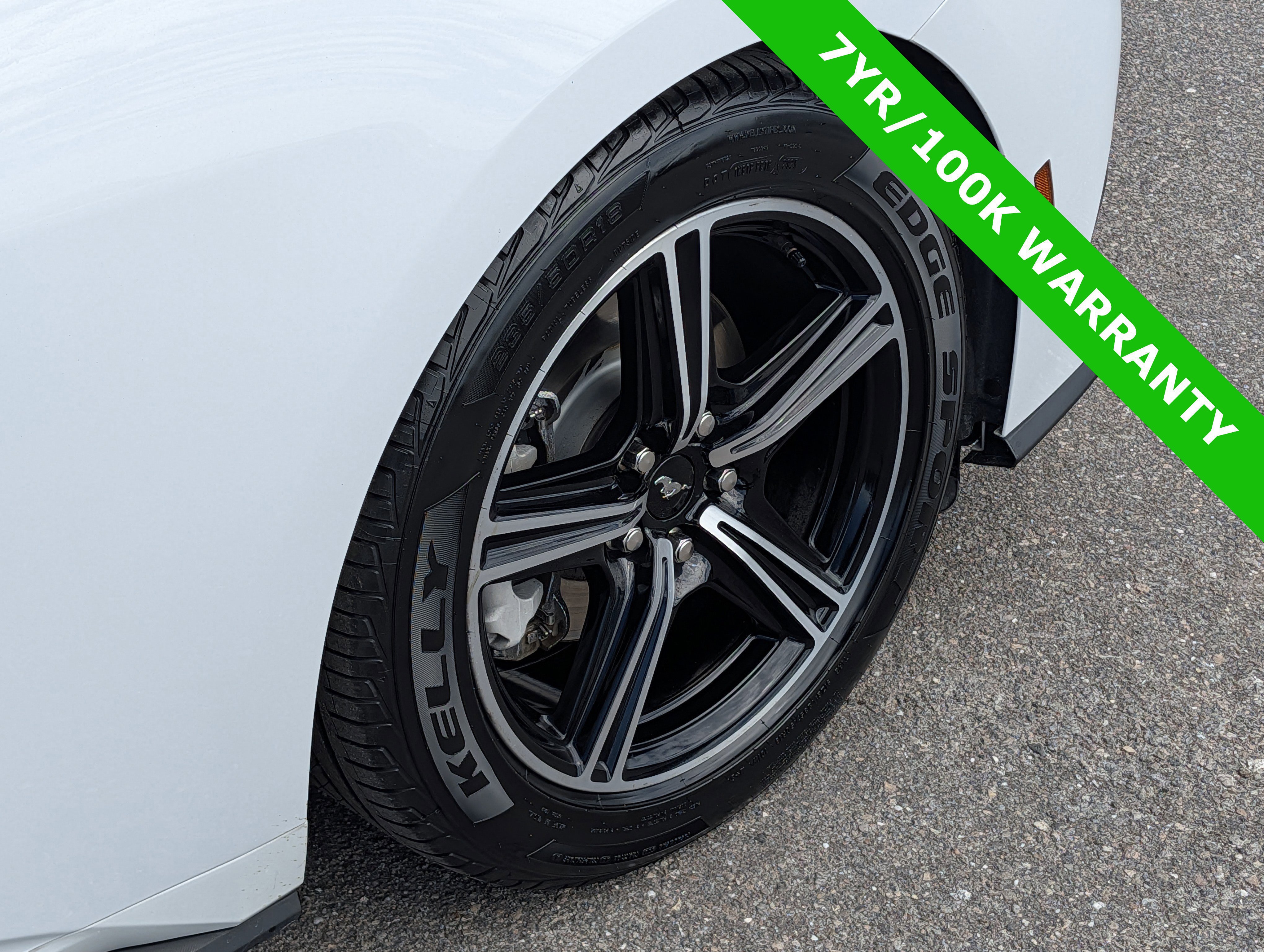 Certified 2024 Ford Mustang Premium image 12