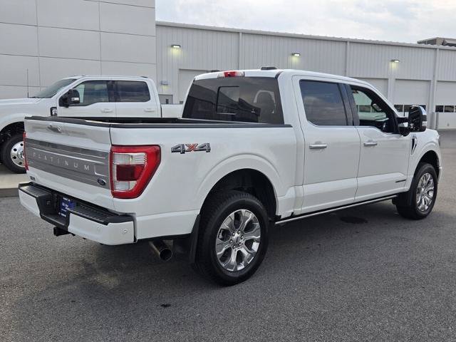 Certified 2021 Ford F150 Platinum w/ Equipment Group 701A High AWD/4WD image 5