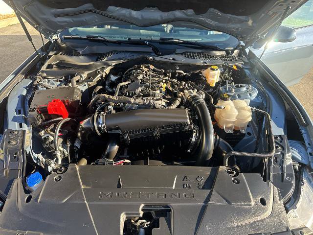 Certified 2024 Ford Mustang Coupe RWD image 6