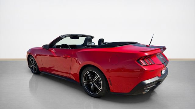 Certified 2019 Ford Mustang Premium w/ Equipment Group 201A RWD image 5