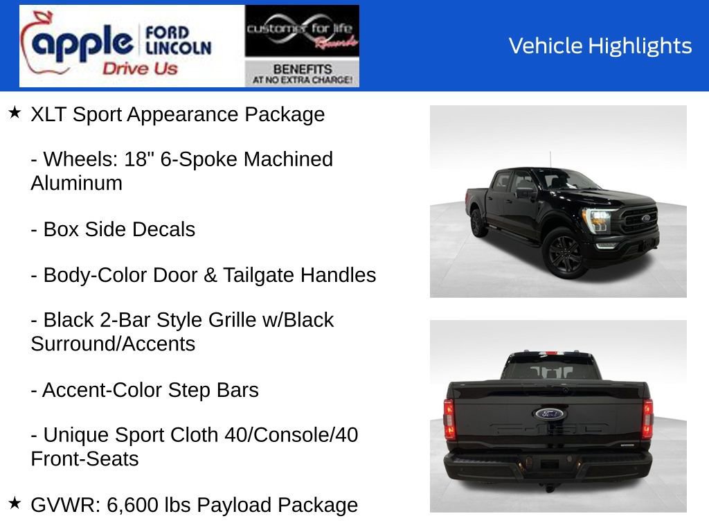 Certified 2023 Ford F150 XLT w/ Equipment Group 302A High image 15