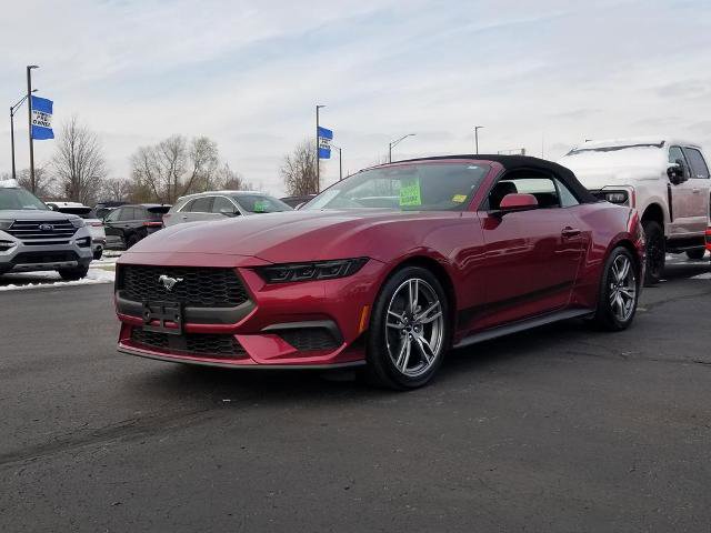 Certified 2025 Ford Mustang Premium w/ Wheel & Stripe Package image 6