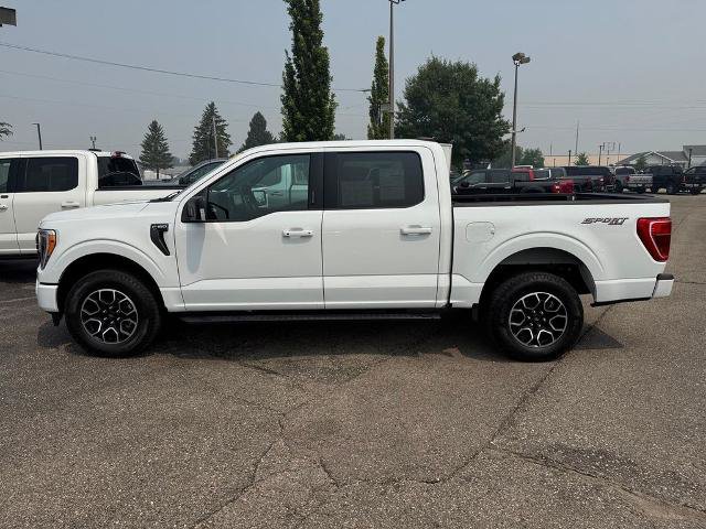 Certified 2023 Ford F150 XLT w/ Equipment Group 302A High AWD/4WD image 3