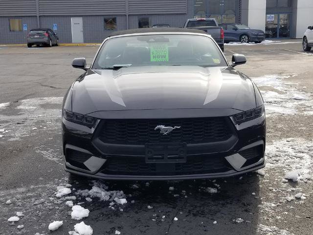 Certified 2025 Ford Mustang Premium w/ Wheel & Stripe Package image 7