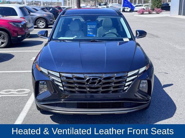 Used 2022 Hyundai Tucson Limited w/ Cargo Package image 2