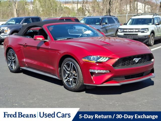 Certified 2019 Ford Mustang Convertible w/ Equipment Group 101A image 12