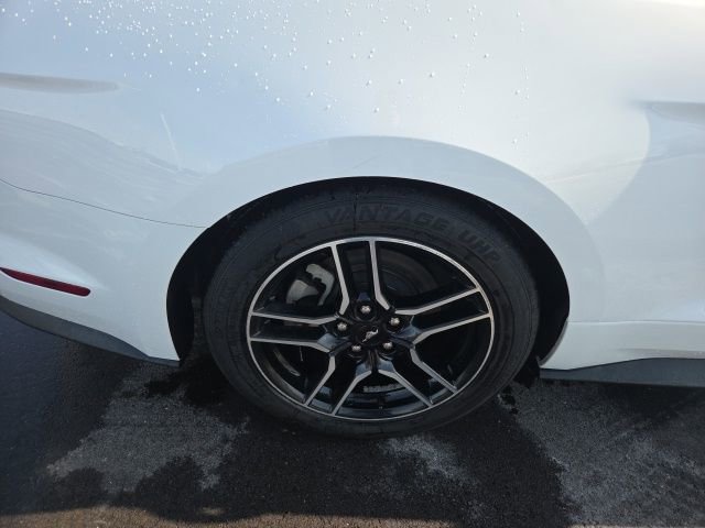 Certified 2023 Ford Mustang Premium image 7