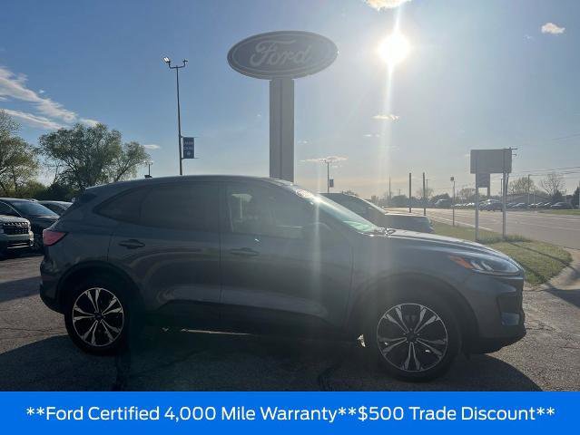 Certified 2022 Ford Escape SE w/ SE Sport Appearance Package AWD/4WD image 6