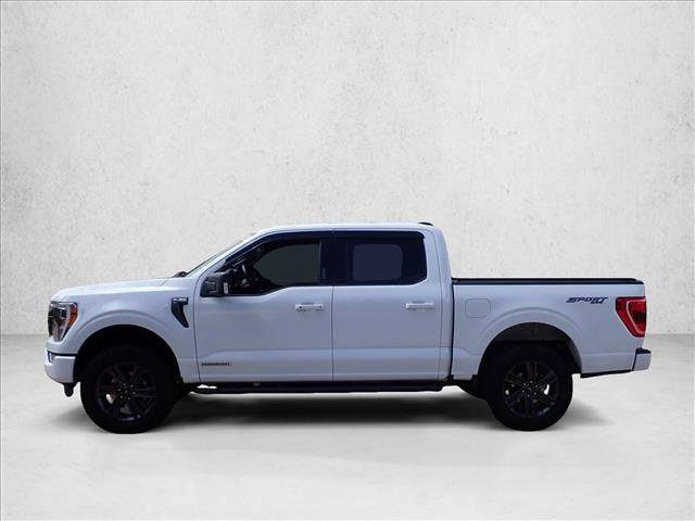 Certified 2023 Ford F150 XLT w/ Equipment Group 302A High AWD/4WD video 2