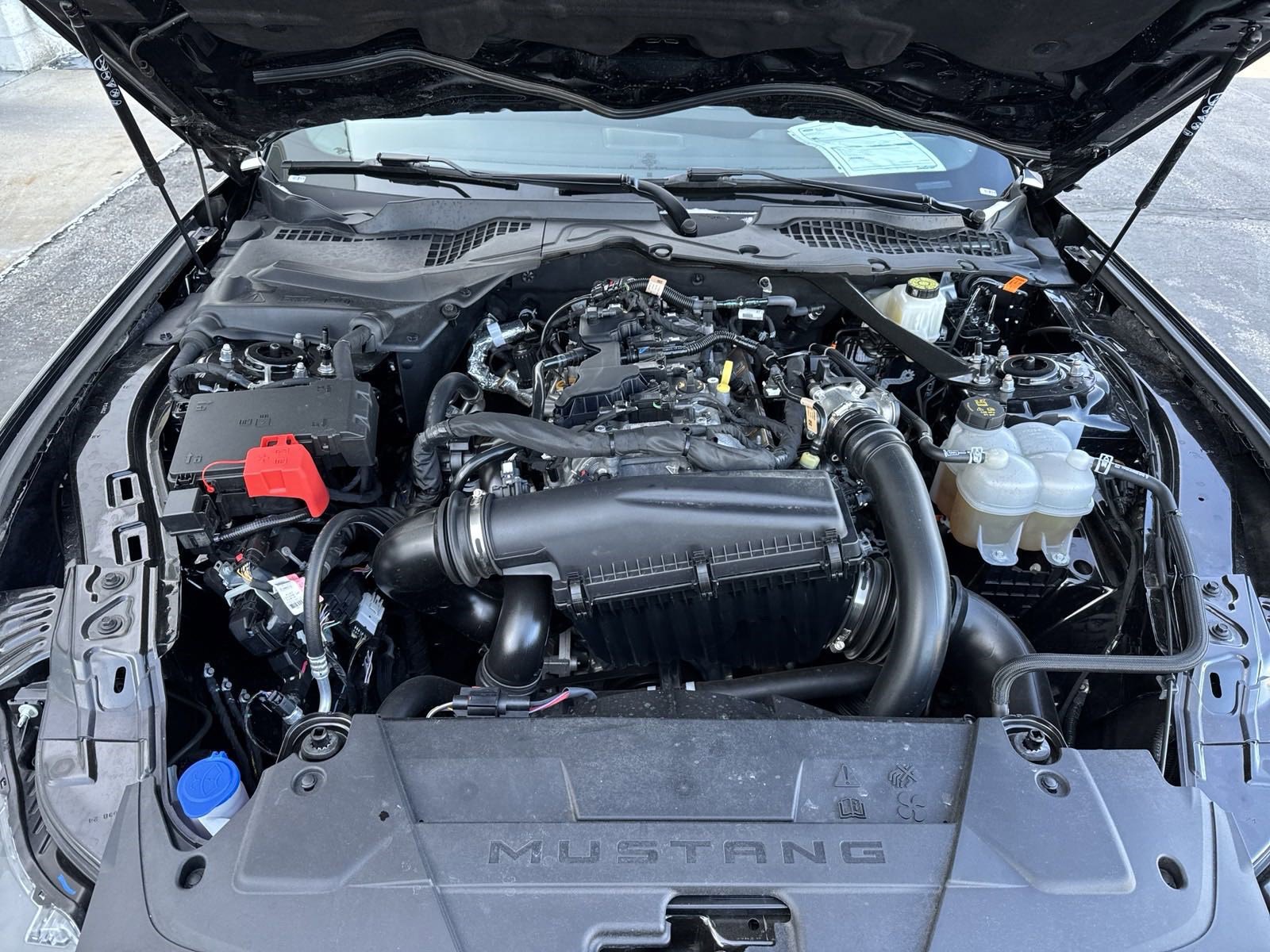 Certified 2024 Ford Mustang Premium image 65