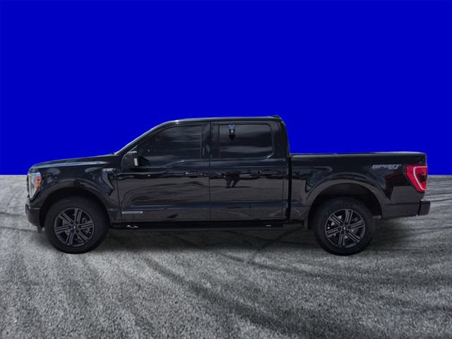 Certified 2023 Ford F150 XLT w/ Equipment Group 302A High AWD/4WD image 7