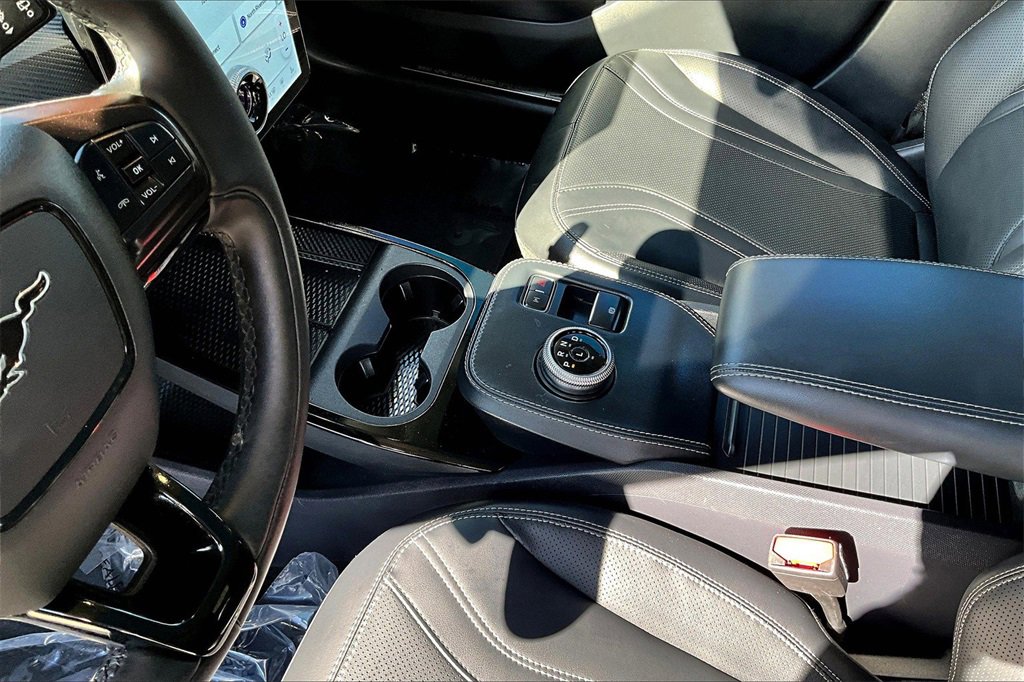 Certified 2021 Ford Mustang Mach-E Premium image 16