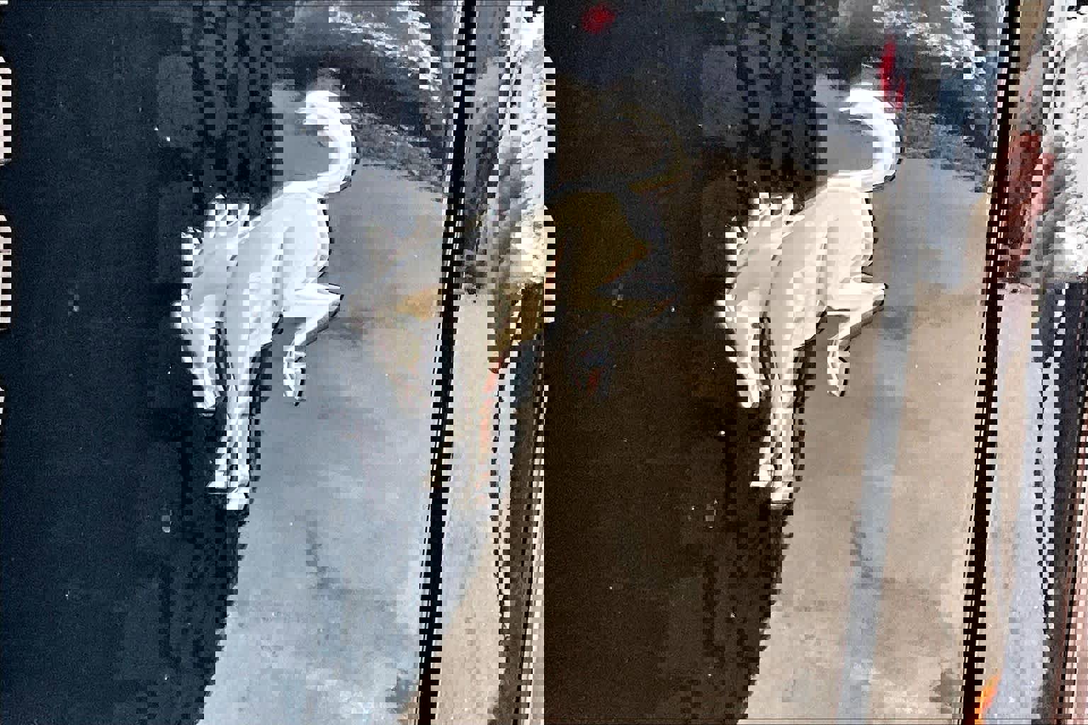 Certified 2025 Ford Bronco Outer Banks w/ Sasquatch Package image 13