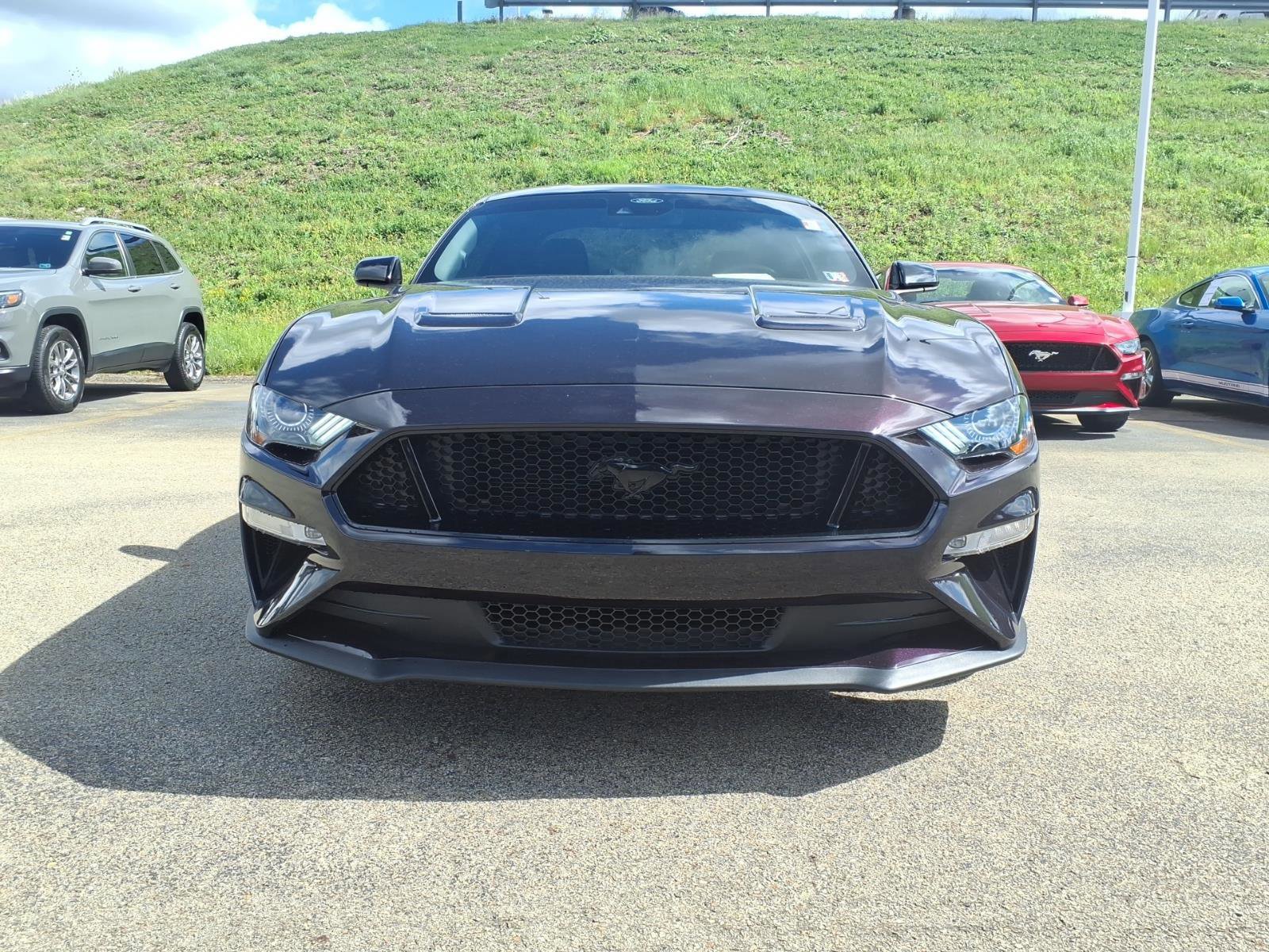 Certified 2023 Ford Mustang GT w/ Mustang Nite Pony Package RWD image 6