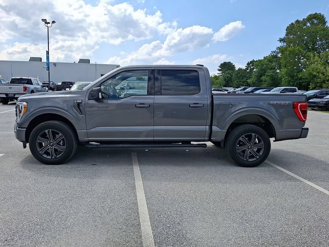 Certified 2023 Ford F150 XLT w/ Equipment Group 302A High AWD/4WD image 7