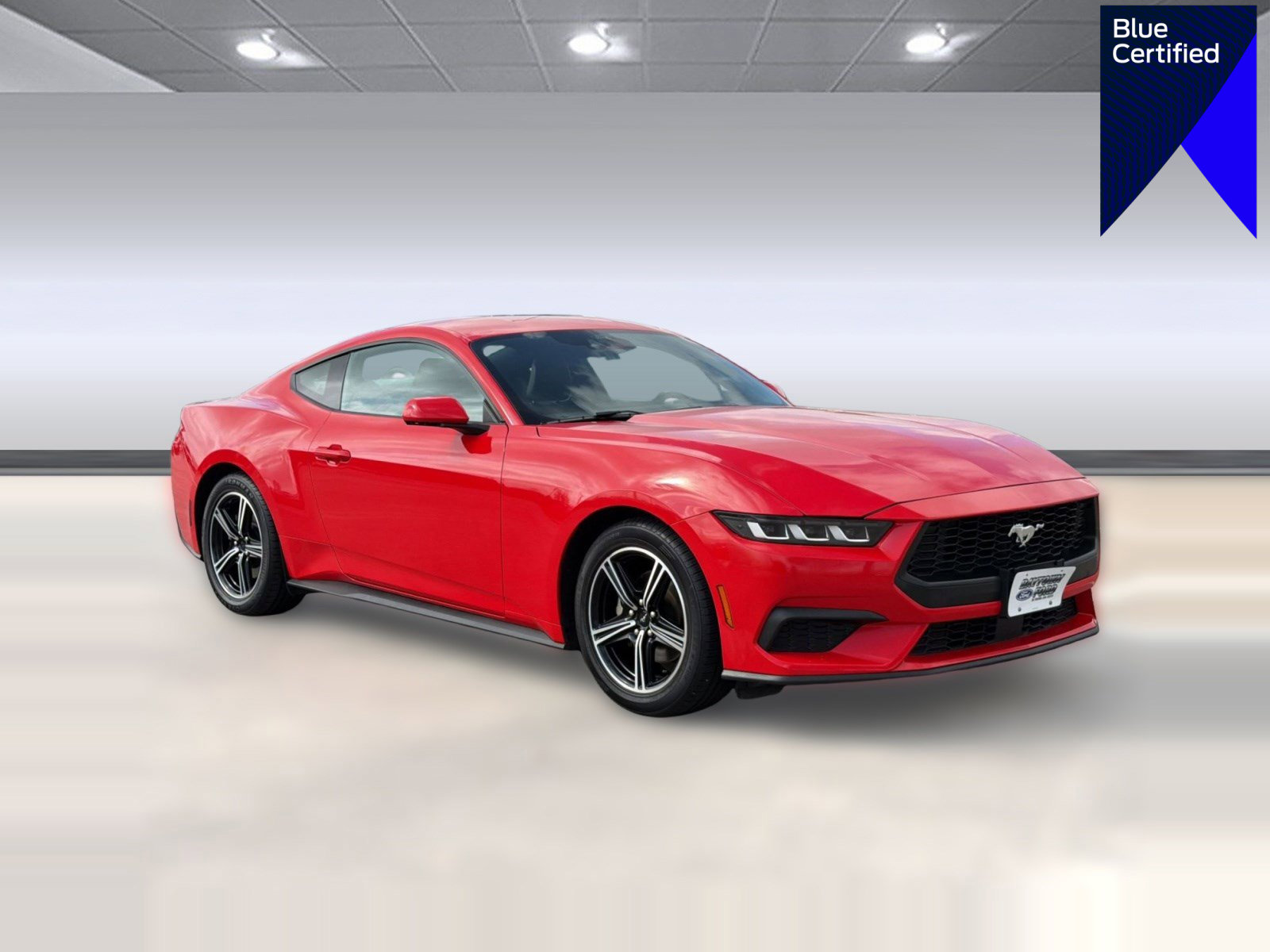 Certified 2024 Ford Mustang EcoBoost