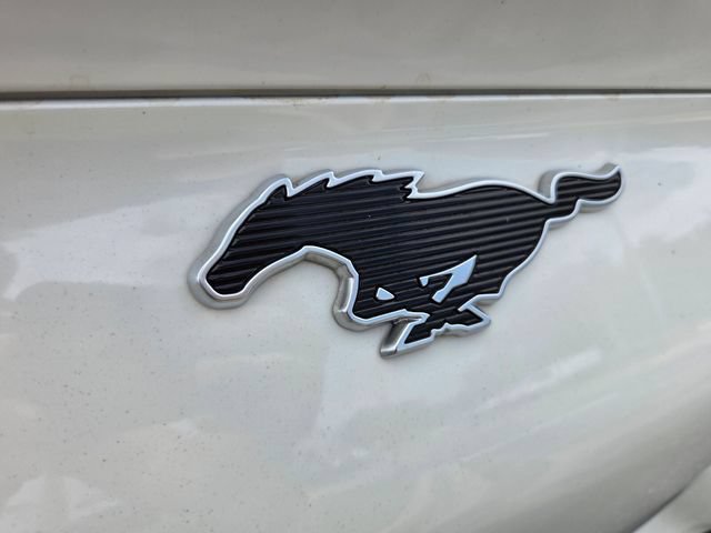 Certified 2023 Ford Mustang Mach-E Premium RWD image 14