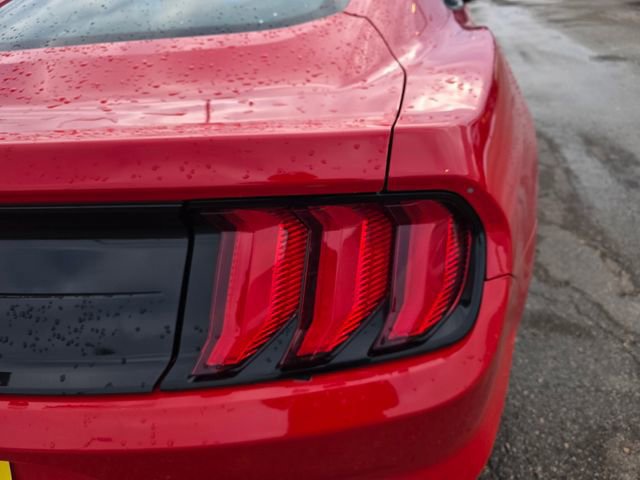 Certified 2022 Ford Mustang Coupe w/ Equipment Group 101A image 11