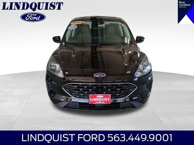 Certified 2022 Ford Escape SE w/ SE Sport Appearance Package AWD/4WD image 9
