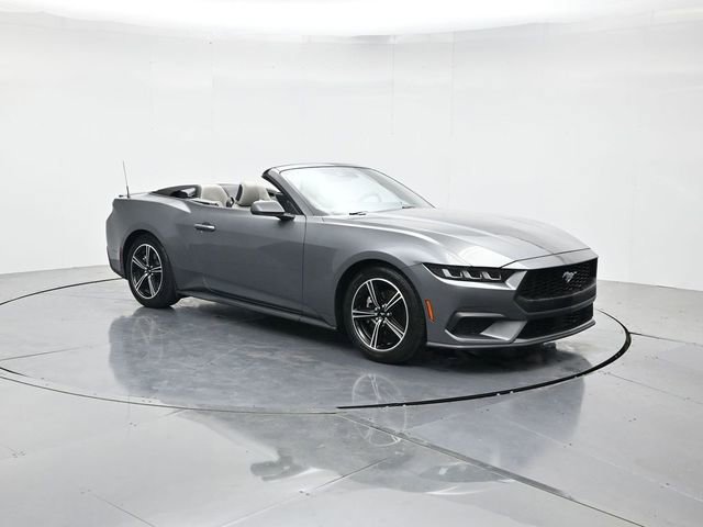 Certified 2024 Ford Mustang Premium image 1