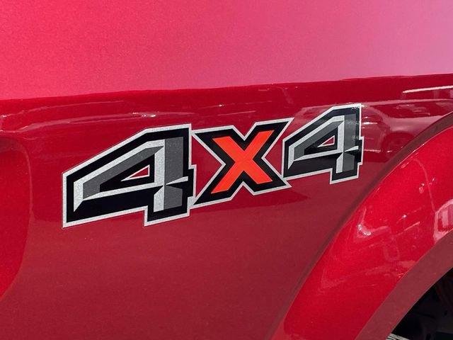 Certified 2019 Ford F150 XLT w/ Equipment Group 302A Luxury AWD/4WD image 8