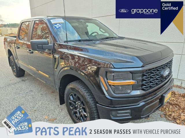 Certified 2025 Ford F150 STX image 1