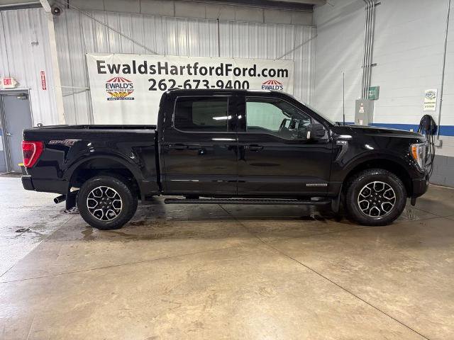 Certified 2023 Ford F150 XLT w/ Equipment Group 302A High AWD/4WD image 7