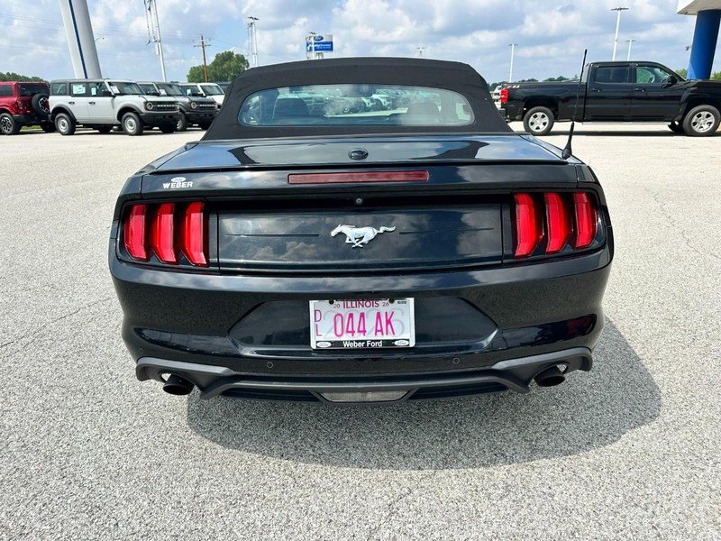 Certified 2019 Ford Mustang Premium w/ Equipment Group 201A RWD image 4