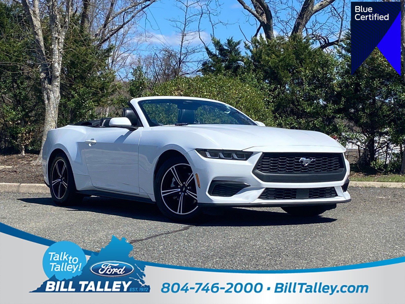 Certified 2024 Ford Mustang Premium image 1