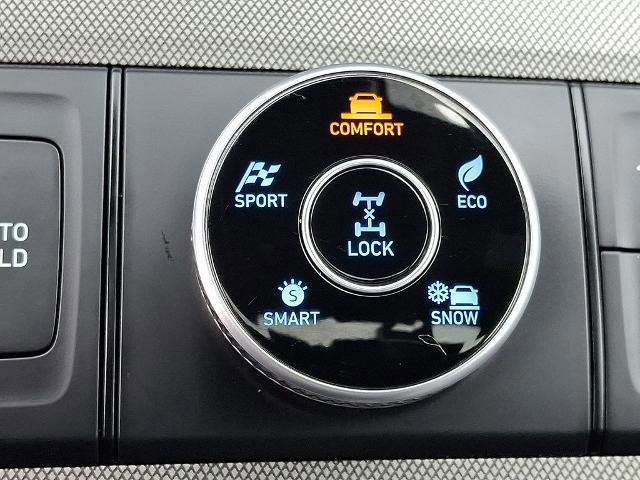 Used 2021 Hyundai Palisade Calligraphy image 28