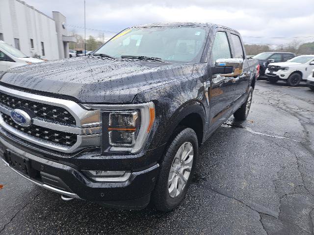 Certified 2023 Ford F150 Platinum w/ Equipment Group 701A High image 2