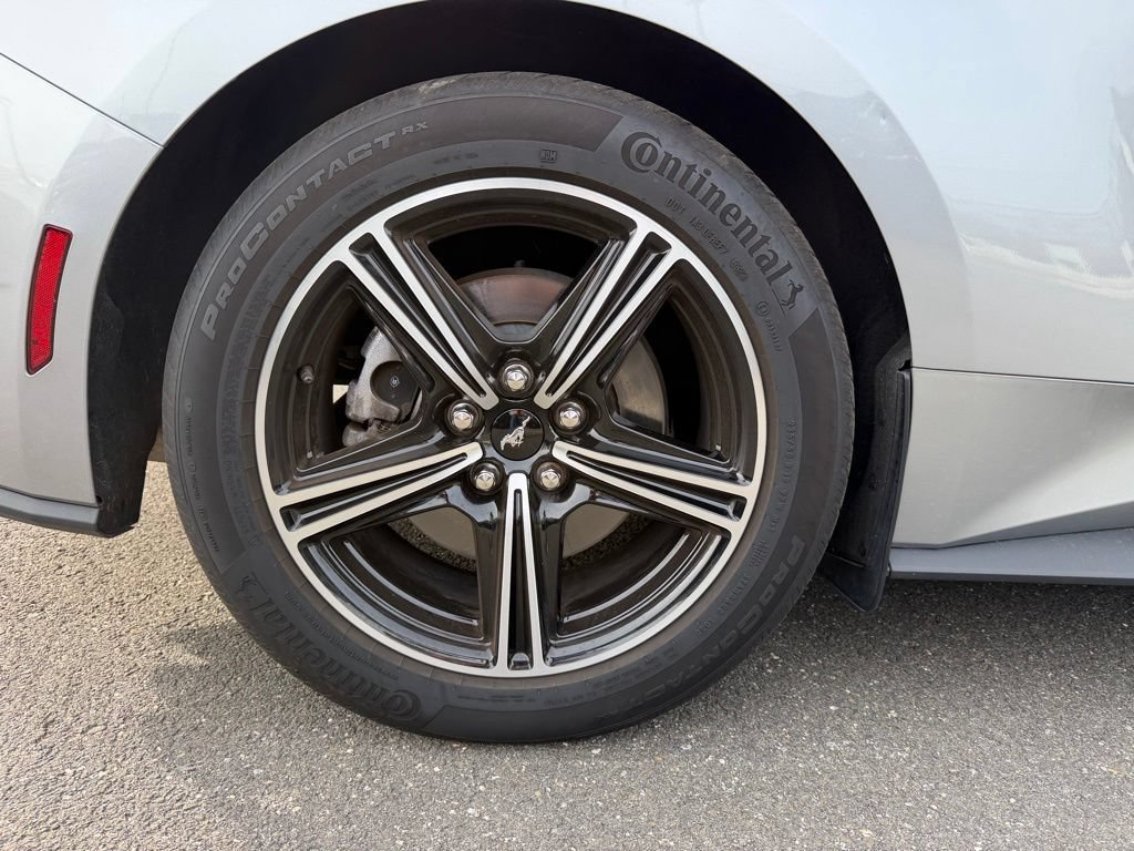 Certified 2024 Ford Mustang Premium RWD image 11
