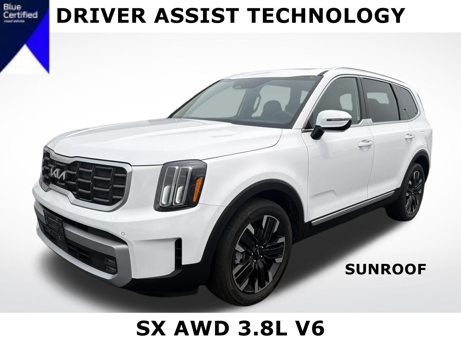 Used 2023 Kia Telluride SX