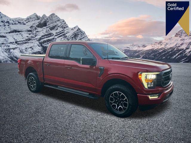 Certified 2023 Ford F150 XLT w/ Equipment Group 302A High image 1