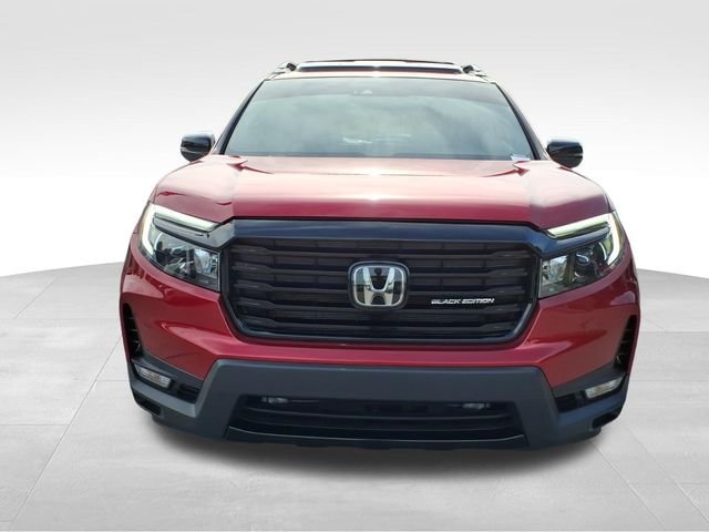 Used 2024 Honda Passport Black Edition image 15