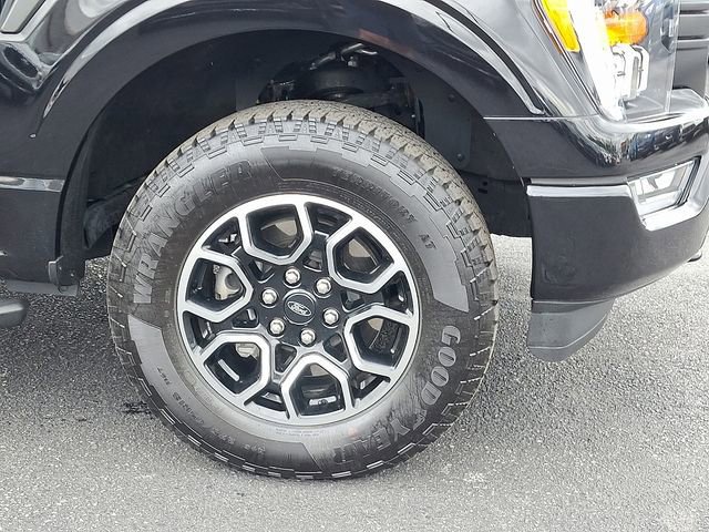 Certified 2023 Ford F150 XLT w/ Equipment Group 302A High AWD/4WD image 8